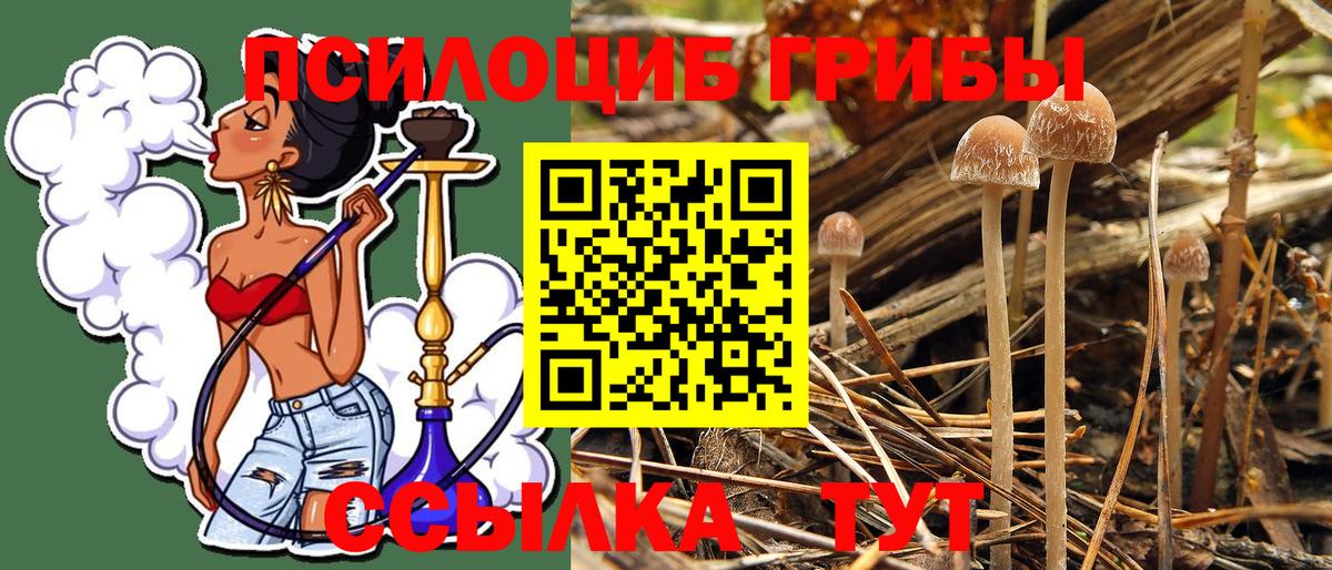 Псилоцибиновые грибы Cubensis  Вход с VPN  Лангепас  Галлюциногенные грибы Cubensis 