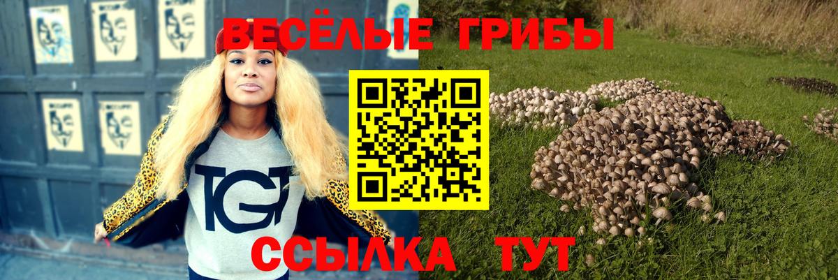 Галлюциногенные грибы Psilocybine cubensis Лангепас